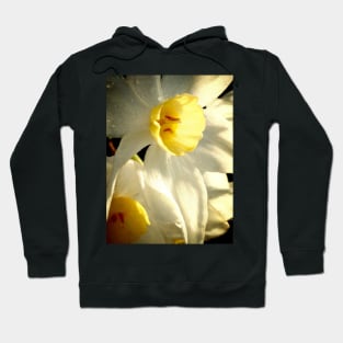 Daffodil Flower Hoodie